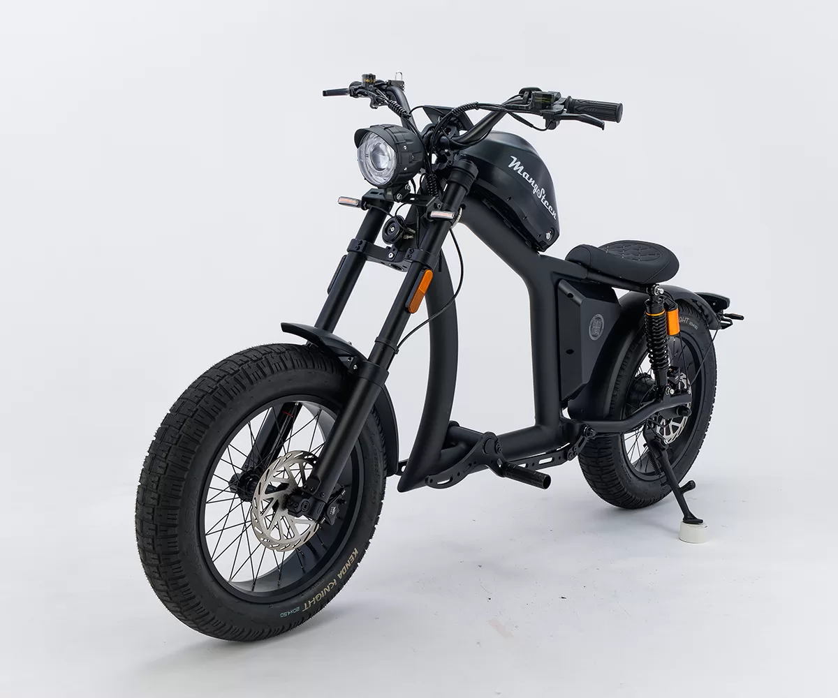 FT-02 580/1000 - MANGOSTEEN｜電動バイクのMANGOSTEEN